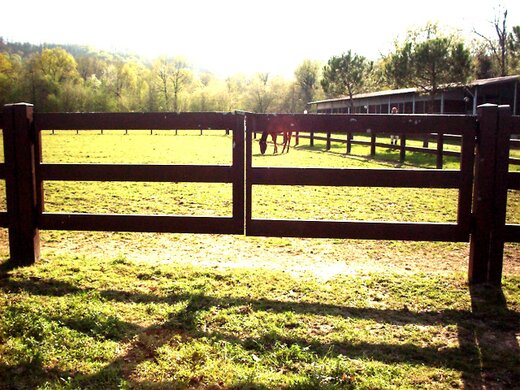 Recinti per cavalli