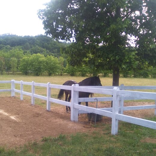 Recinti per cavalli